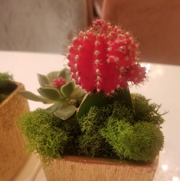 Meet your Posher, Jennifer - Picture 1 of 1